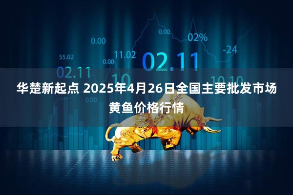 华楚新起点 2025年4月26日全国主要批发市场黄鱼价格行情