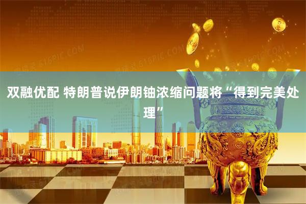 双融优配 特朗普说伊朗铀浓缩问题将“得到完美处理”